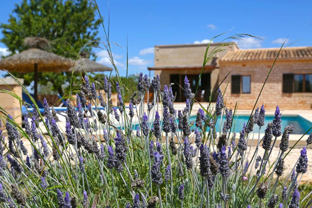 Finca Tiana Ses Salines  Kültér fotó