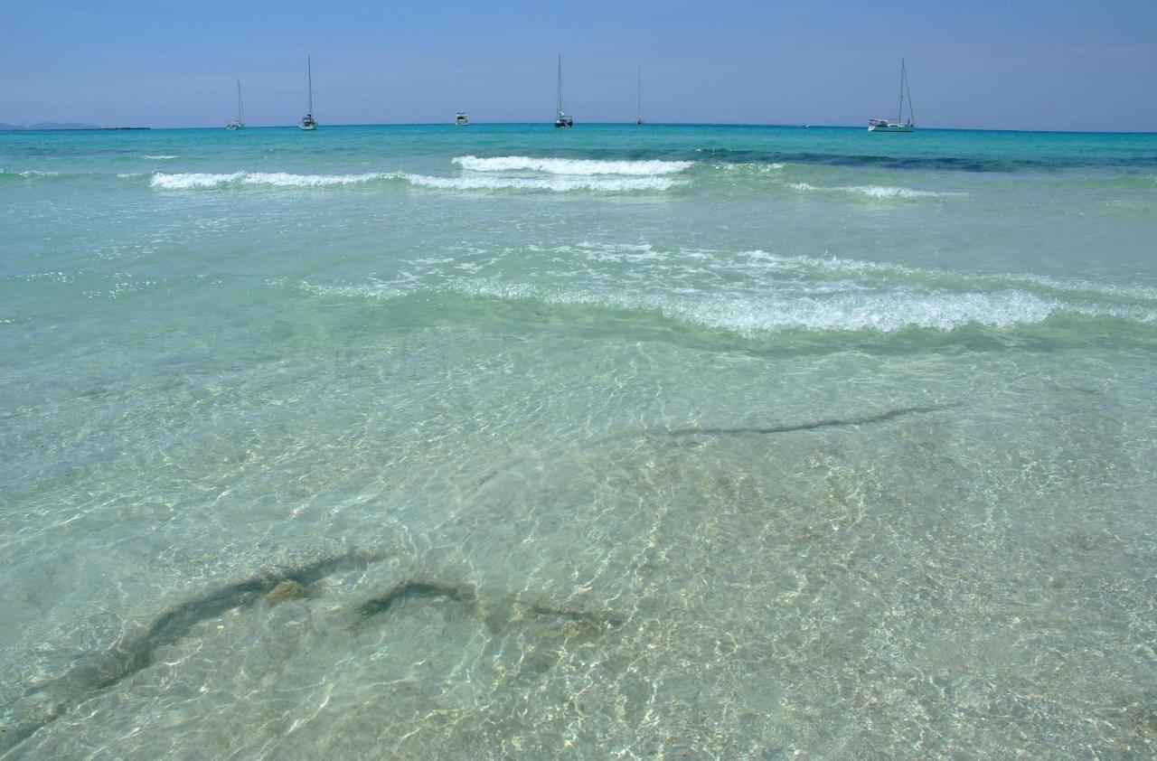 Finca Tiana Ses Salines  Kültér fotó