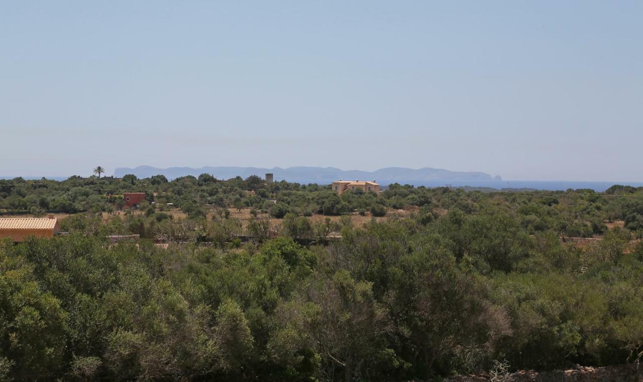 Finca Tiana Ses Salines  Kültér fotó